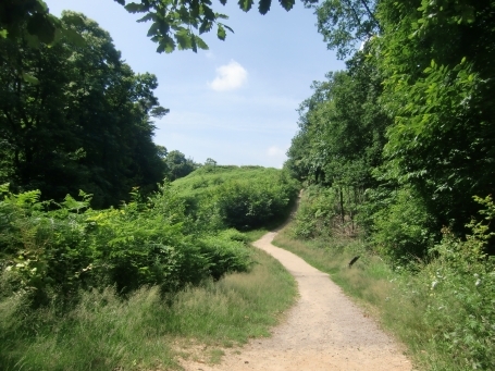 Groesbeek NL : Ortschaft Berg en Dal, Duivelsberg, Wanderweg